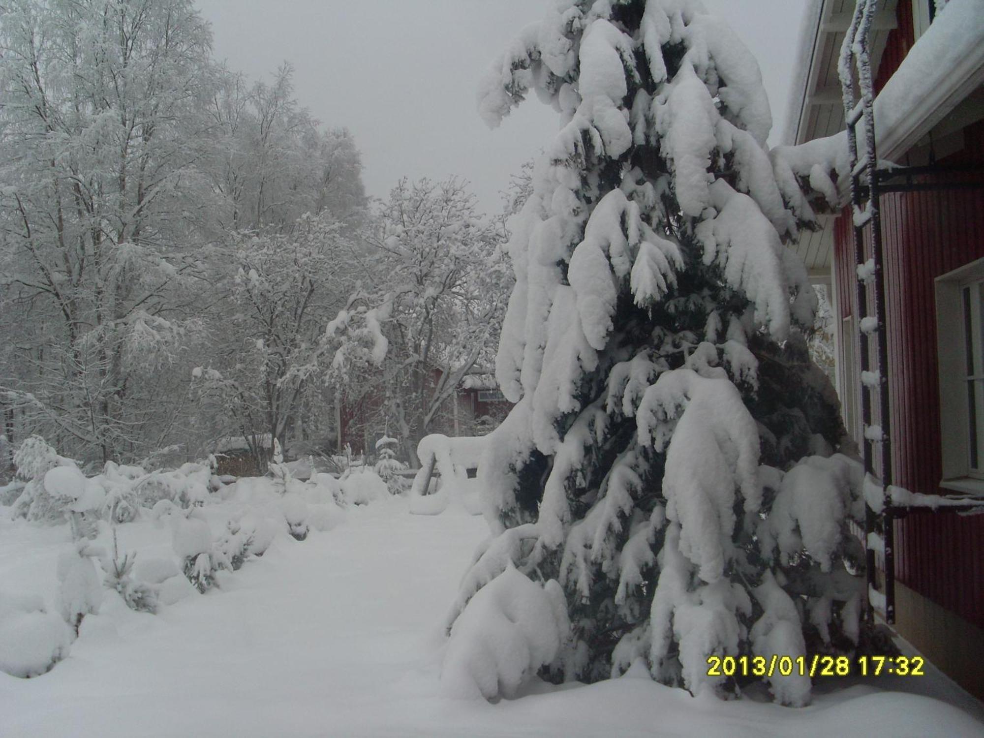 Aaria Bed And Breakfast Rovaniemi Exterior photo